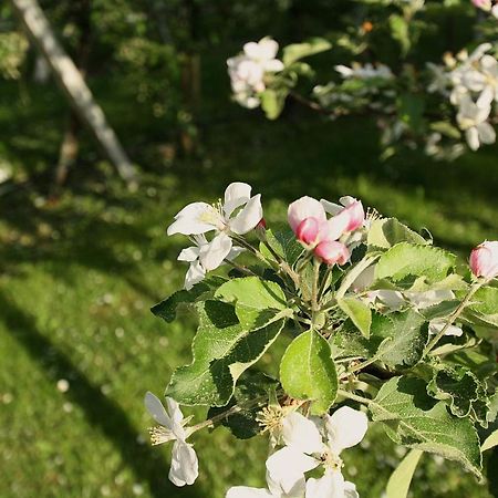 Pension Bauernhof Spielmann Mieming Zewnętrze zdjęcie